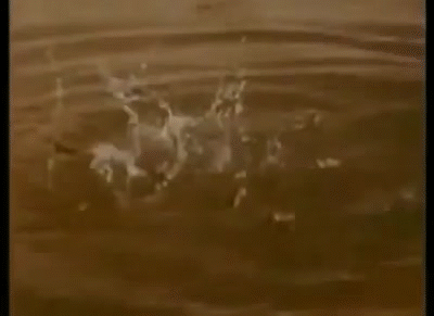 lemmings jumping off a cliff